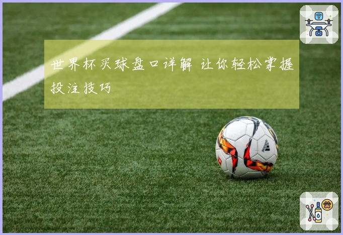 世界杯买球盘口详解 让你轻松掌握投注技巧