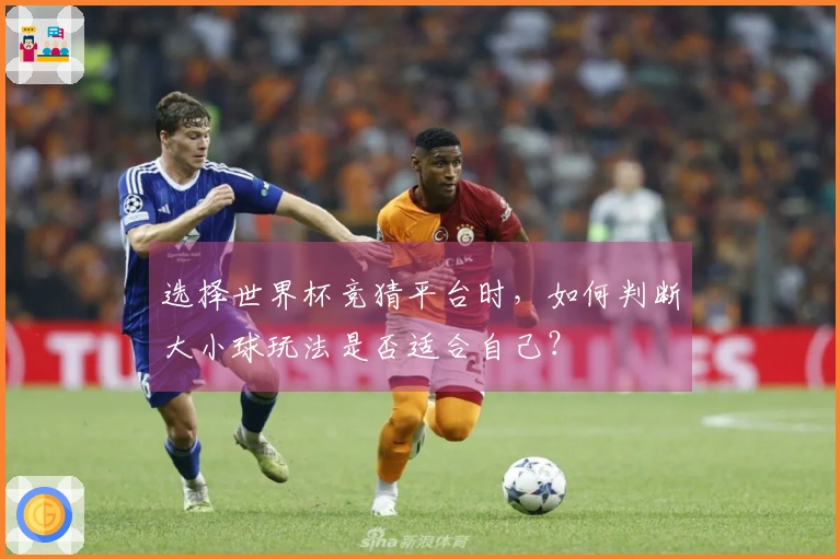选择世界杯竞猜平台时，如何判断大小球玩法是否适合自己？