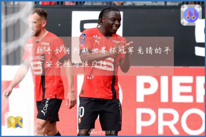 新手如何判断世界杯冠军竞猜的平台安全性与适应性