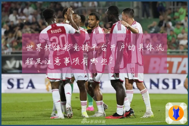 世界杯体彩竞猜平台开户的具体流程及注意事项有哪些？