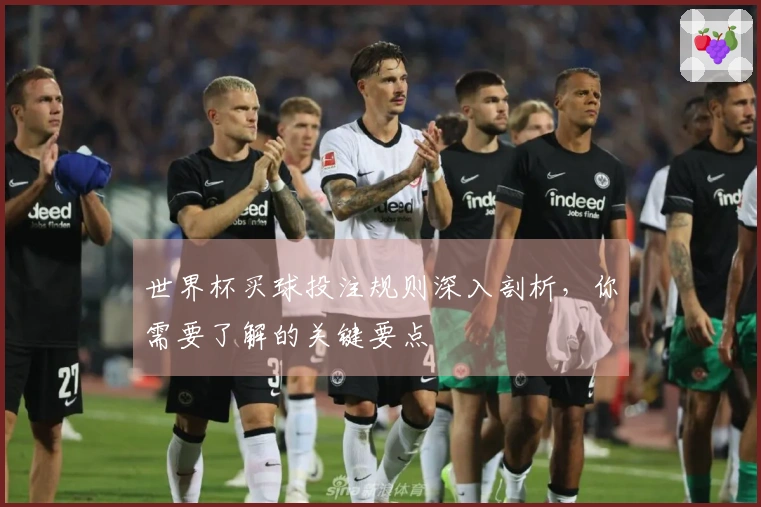 世界杯买球投注规则深入剖析，你需要了解的关键要点