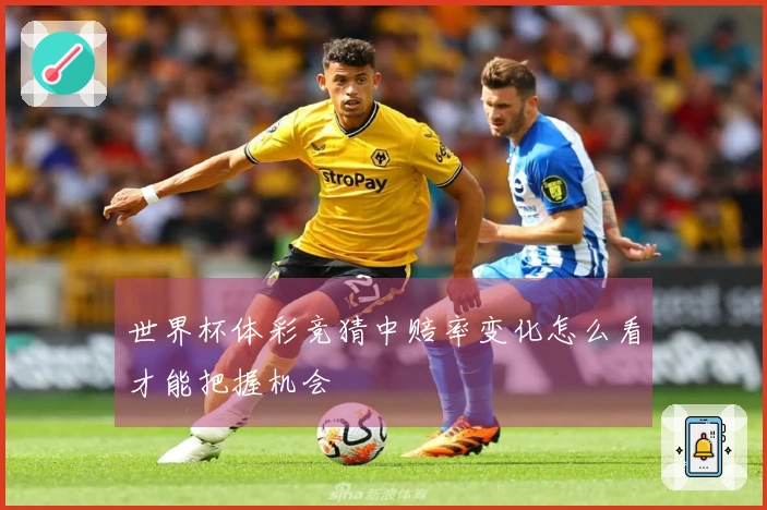 世界杯体彩竞猜中赔率变化怎么看才能把握机会