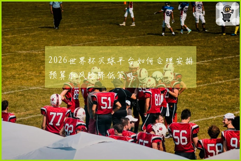 2026世界杯买球平台如何合理安排预算和风险降低策略