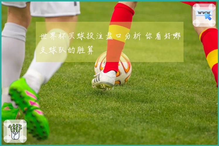 世界杯买球投注盘口分析 你看好哪支球队的胜算