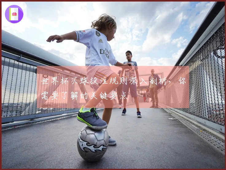 世界杯买球投注规则深入剖析，你需要了解的关键要点