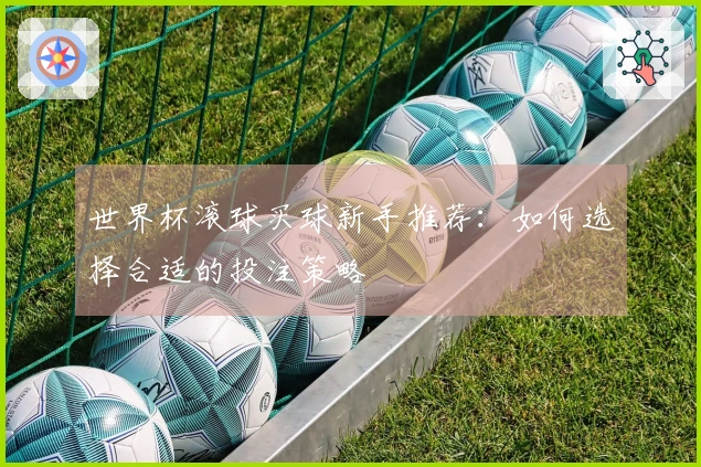 世界杯滚球买球新手推荐：如何选择合适的投注策略