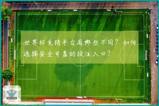 世界杯竞猜平台有哪些不同？如何选择安全可靠的投注入口？