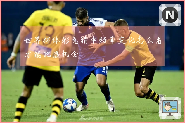 世界杯体彩竞猜中赔率变化怎么看才能把握机会
